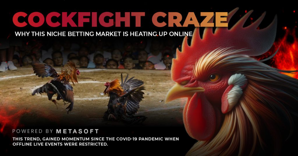 Online cockfighting betting market growth in iGaming