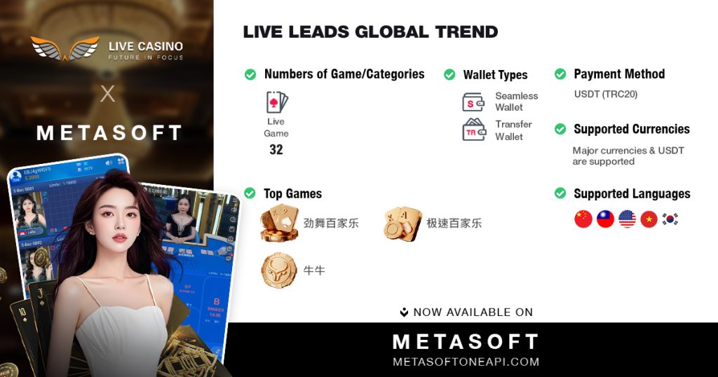 Metasoft iGaming solutions provider banner showcasing Live Casino API, Slot Game API, Sportsbook API and Casino Game API integration with USDT TRC20 payment support